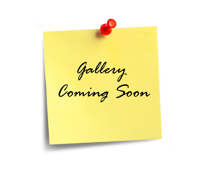 Gallery Coming Soon
